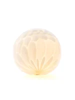 BU26 Portable - Image 2